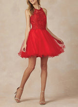 A-Line Sleeveless Lace/Tulle Homecoming Dresses With Appliques Lace
