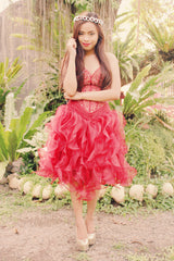 Ball Gown Sweetheart Knee Length Organza Beaded Prom Dress-Ballbella