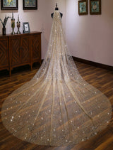Champagne Cathedral Lace Sparkling Waterfall One Tier Cut Edge Wedding Veils-Ballbella