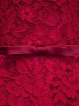 Glamorous Lace Mother Of The Bride Dress Burgundy High Collar Occasion Dress Long Sleeve A Line Wedding Guest Dresses-Ballbella