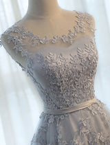 Glamorous Long Evening Dresses Lace Cameo Pink Party Dress A Line Applique Tulle Maxi Formal Dress-Ballbella