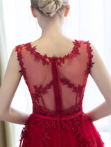 Glamorous Long Evening Dresses Lace Cameo Pink Party Dress A Line Applique Tulle Maxi Formal Dress-Ballbella