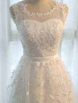 Glamorous Long Evening Dresses Lace Cameo Pink Party Dress A Line Applique Tulle Maxi Formal Dress-Ballbella