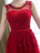 Glamorous Long Evening Dresses Lace Cameo Pink Party Dress A Line Applique Tulle Maxi Formal Dress-Ballbella