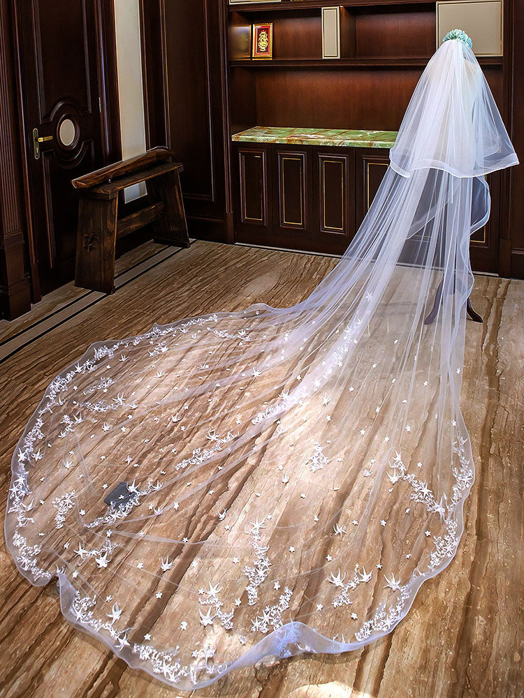http://www.ballbella.com/cdn/shop/files/ivory-cathedral-waterfall-lace-applique-2-tier-long-wedding-veils-wedding-veils-3_1024x.jpg?v=1701982879