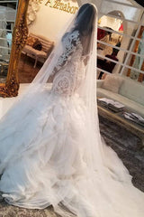 Mermaid Lace Appliques Tulle Wedding Dresses Long Sleevess Delicate Bridal Gowns-Ballbella