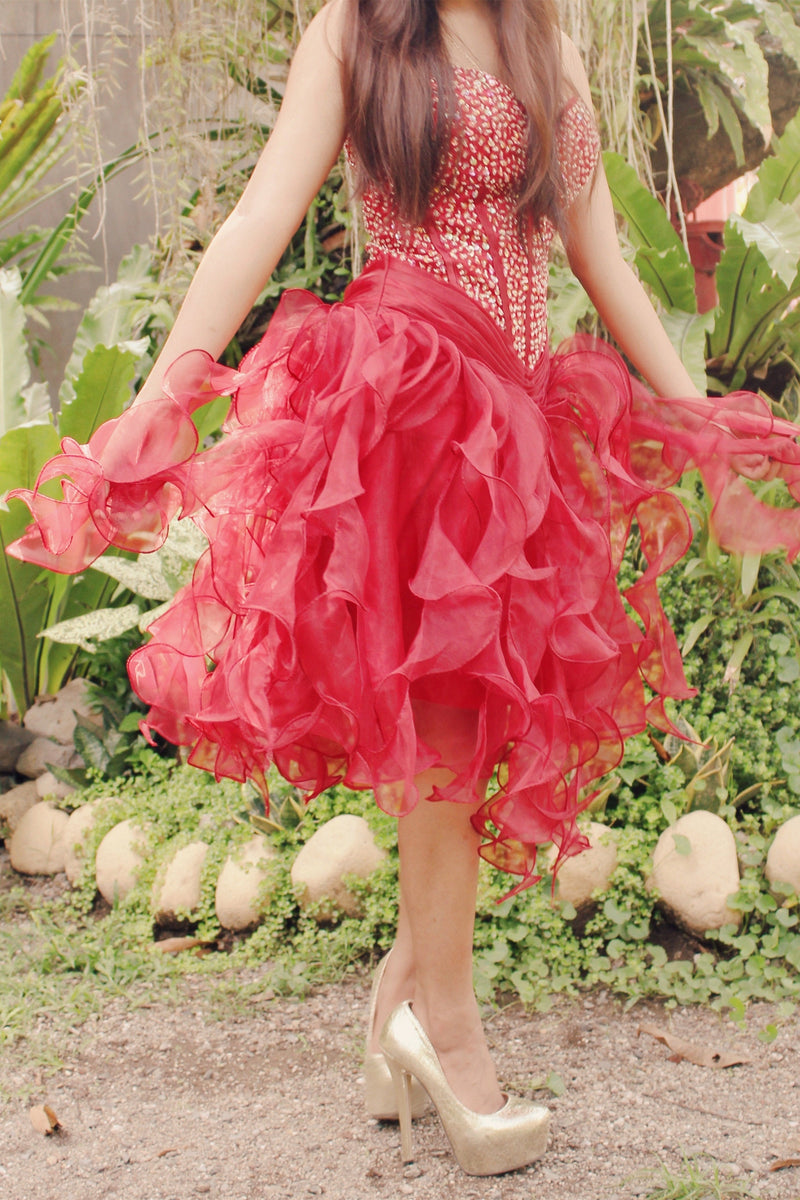 Ball Gown Sweetheart Knee Length Organza Beaded Prom Dress-Ballbella