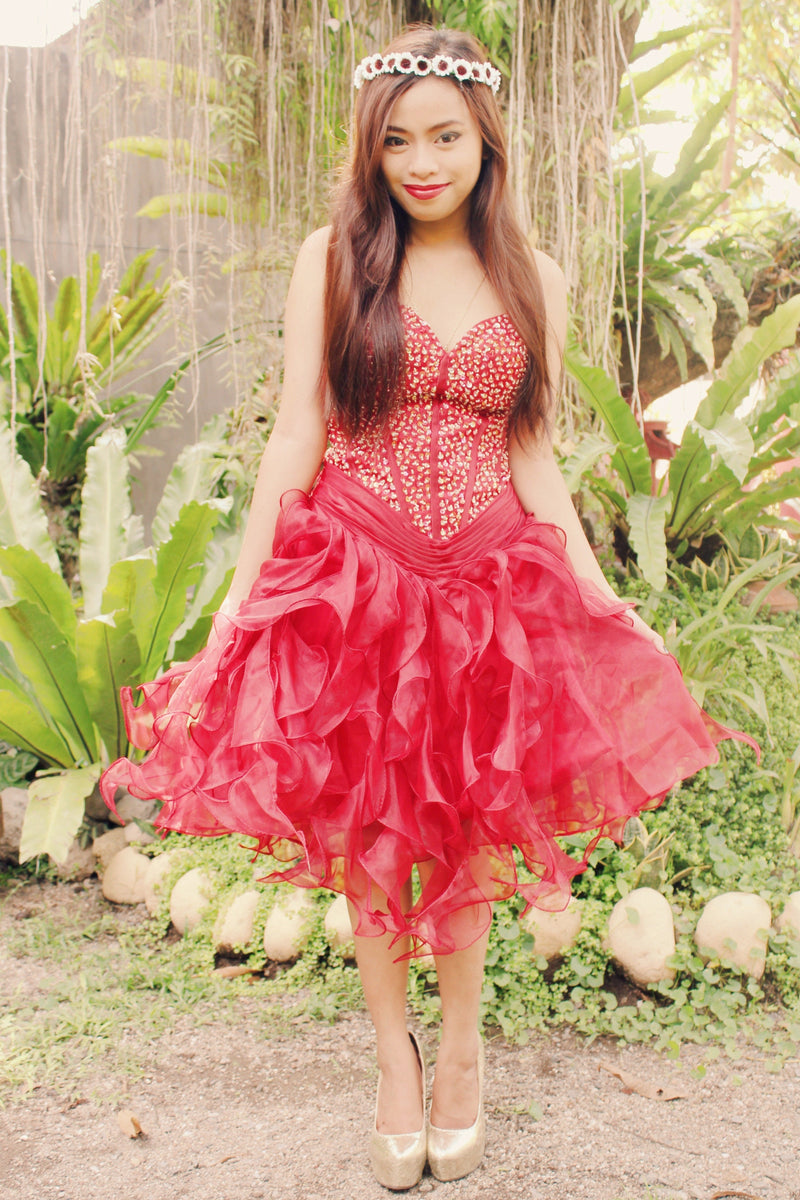Ball Gown Sweetheart Knee Length Organza Beaded Prom Dress-Ballbella