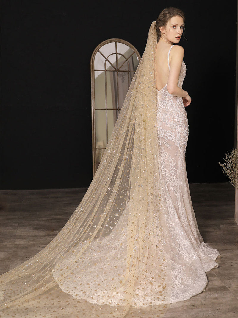 https://www.ballbella.com/cdn/shop/files/champange-wedding-veil-one-tier-sequins-stars-tulle-finished-edge-waterfall-bridal-veils-wedding-veils_800x.jpg?v=1701982775