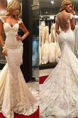 Fit and Flare Lace Wedding Dresses Sheer Tulle Back Wholesale Bridal Gowns with Chapel Train-Ballbella