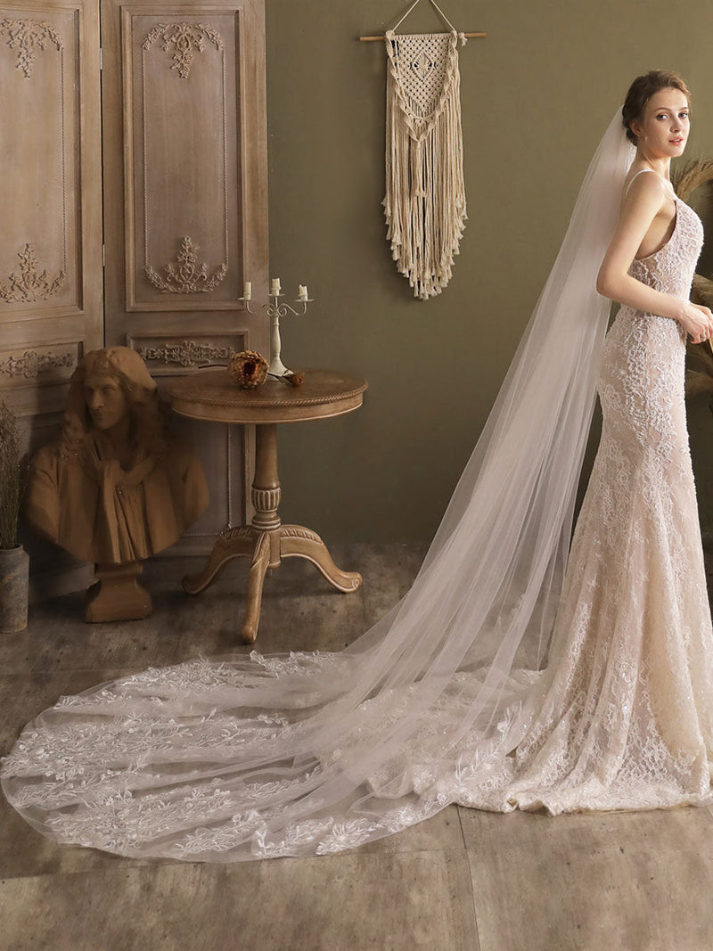 Ivory One-Tier Tulle Lace Applique Edge Waterfall Long Wedding Veil-Ballbella