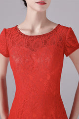 Mermaid Jewel Lace Floor Length Short sleeves Vintage mother's dress-Ballbella