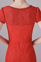 Mermaid Jewel Lace Floor Length Short sleeves Vintage mother's dress-Ballbella