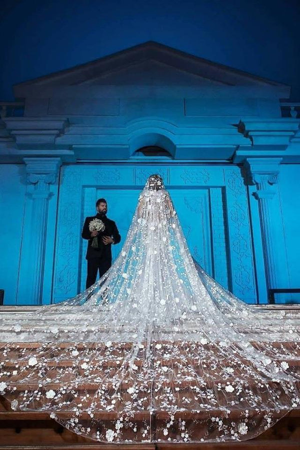 Modern V neck Long Wedding Dress with See through Long Train-Ballbella